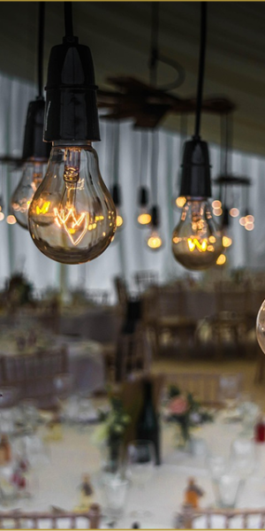 Lights and Decoration